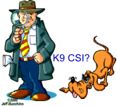 K9 CSI?